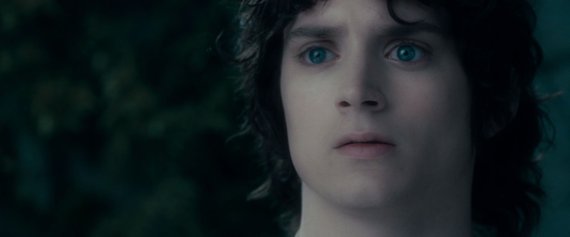 The Lord of the Rings: The Fellowship of the Ring (2001) screencap 19560