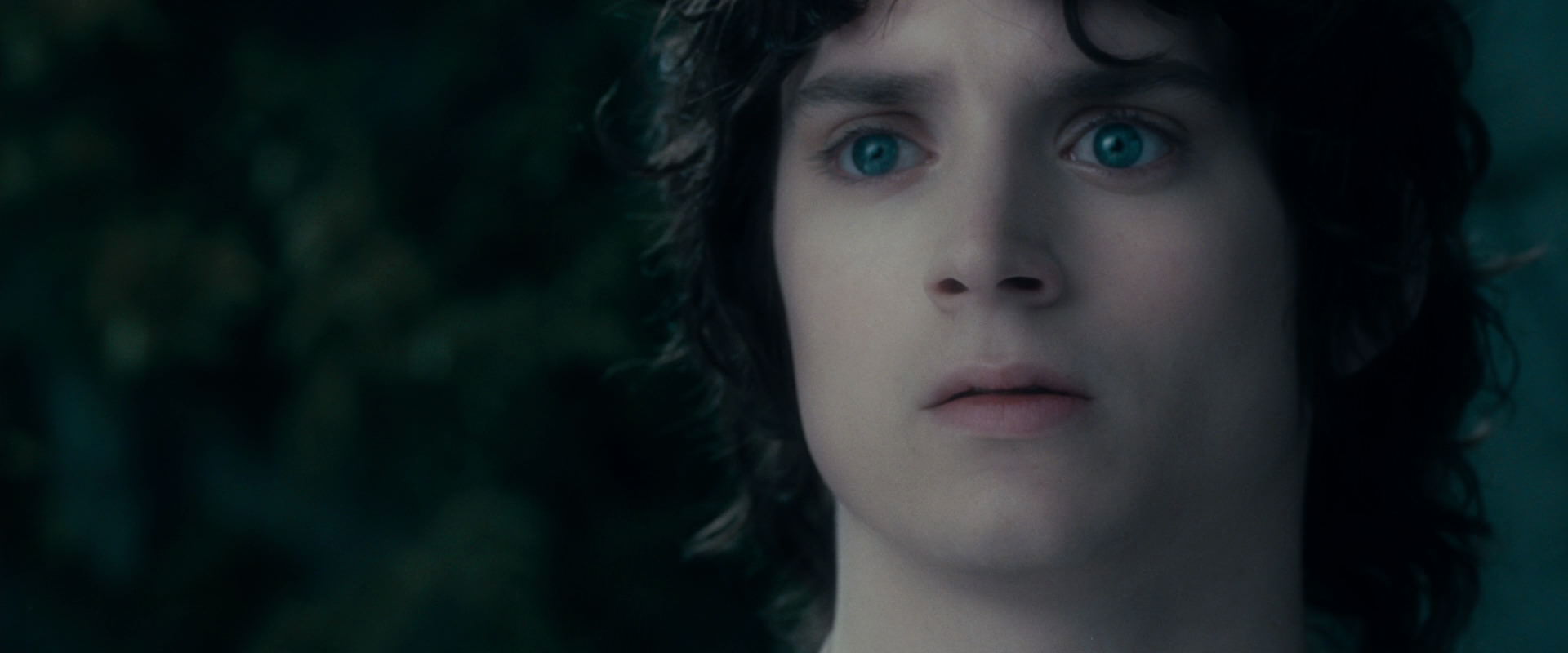 The Lord of the Rings: The Fellowship of the Ring (2001) movie still 19561