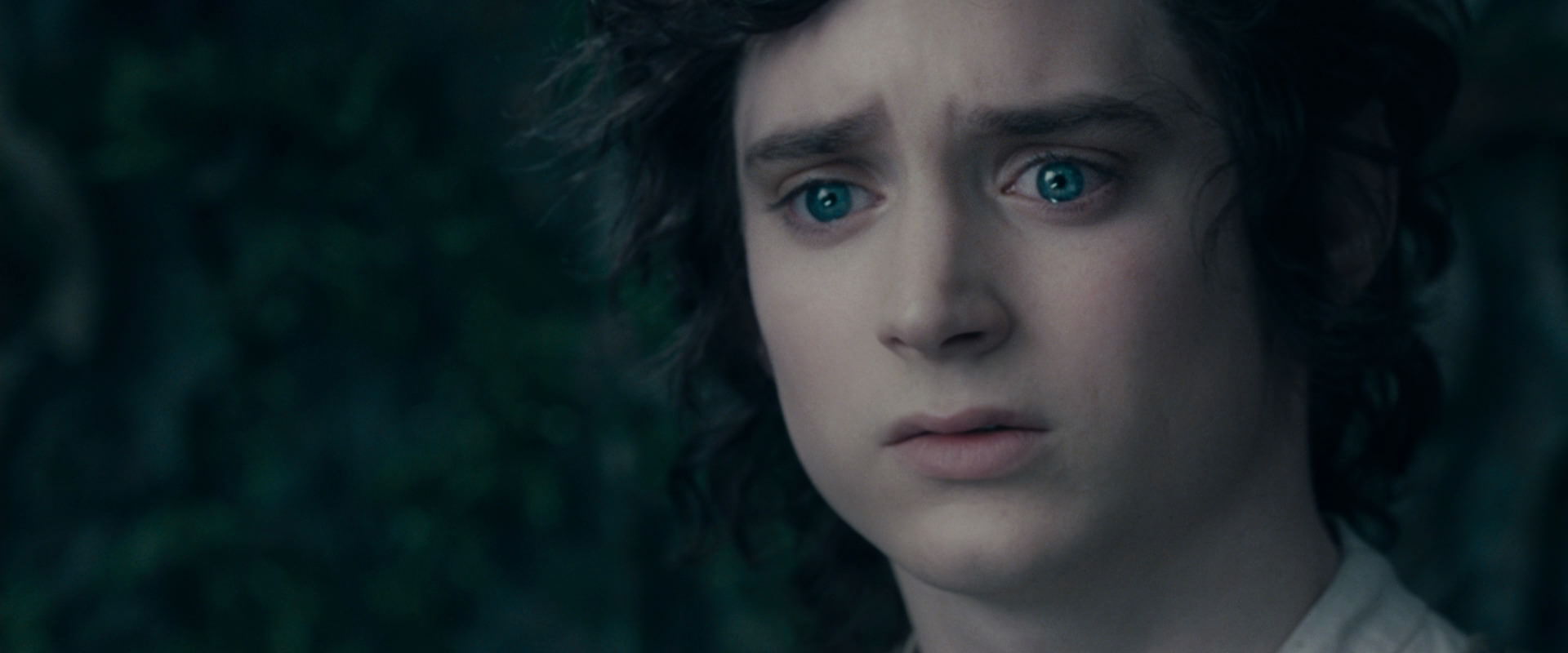 The Lord of the Rings: The Fellowship of the Ring (2001) HD screenshot 19571