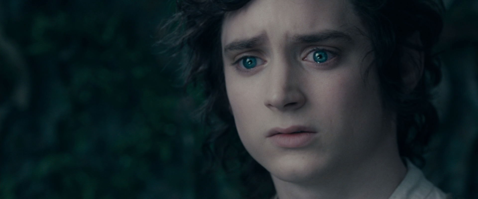 The Lord of the Rings: The Fellowship of the Ring (2001) screencap 19572