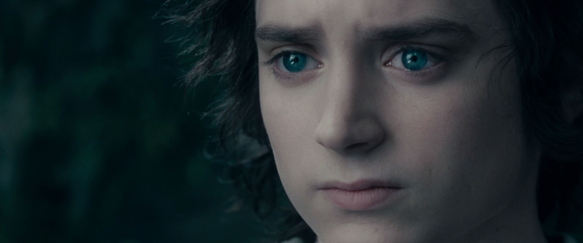 The Lord of the Rings: The Fellowship of the Ring (2001) HD screenshot 19583