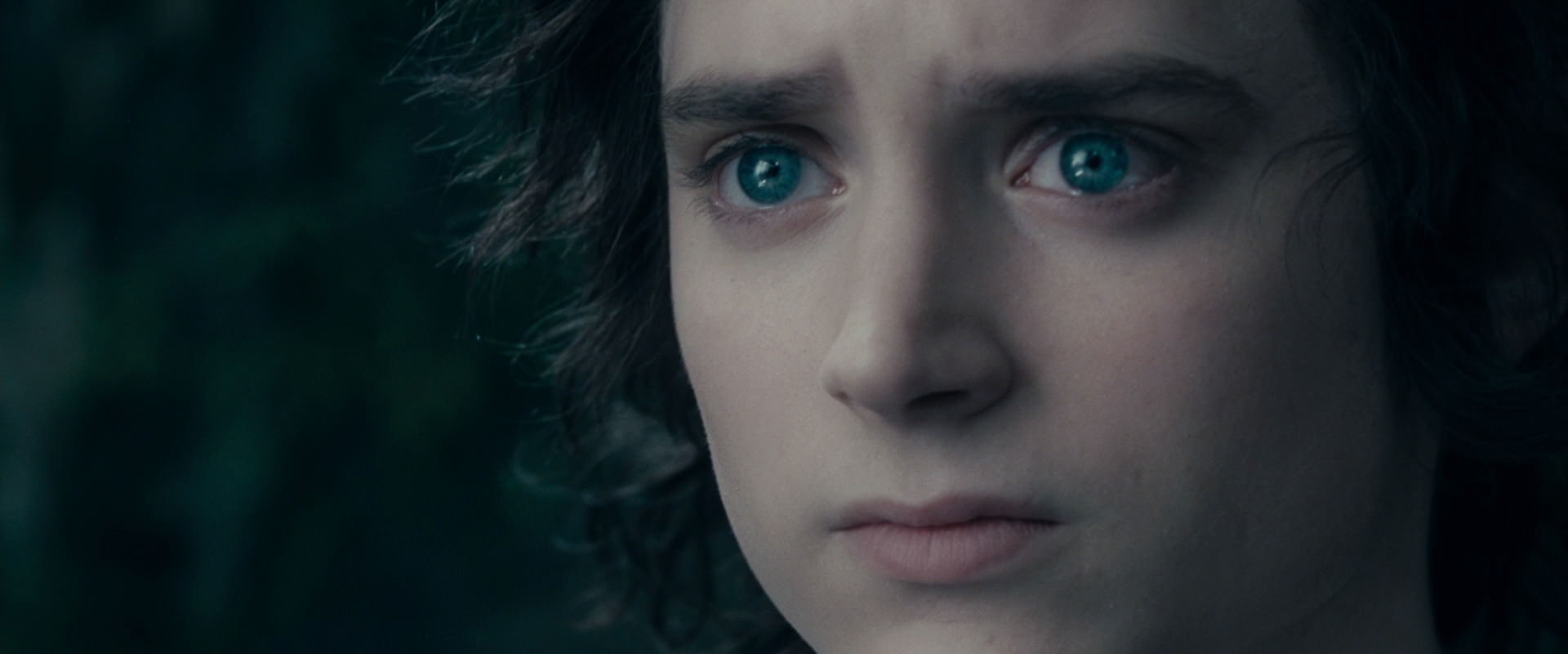 The Lord of the Rings: The Fellowship of the Ring (2001) screencap 19584