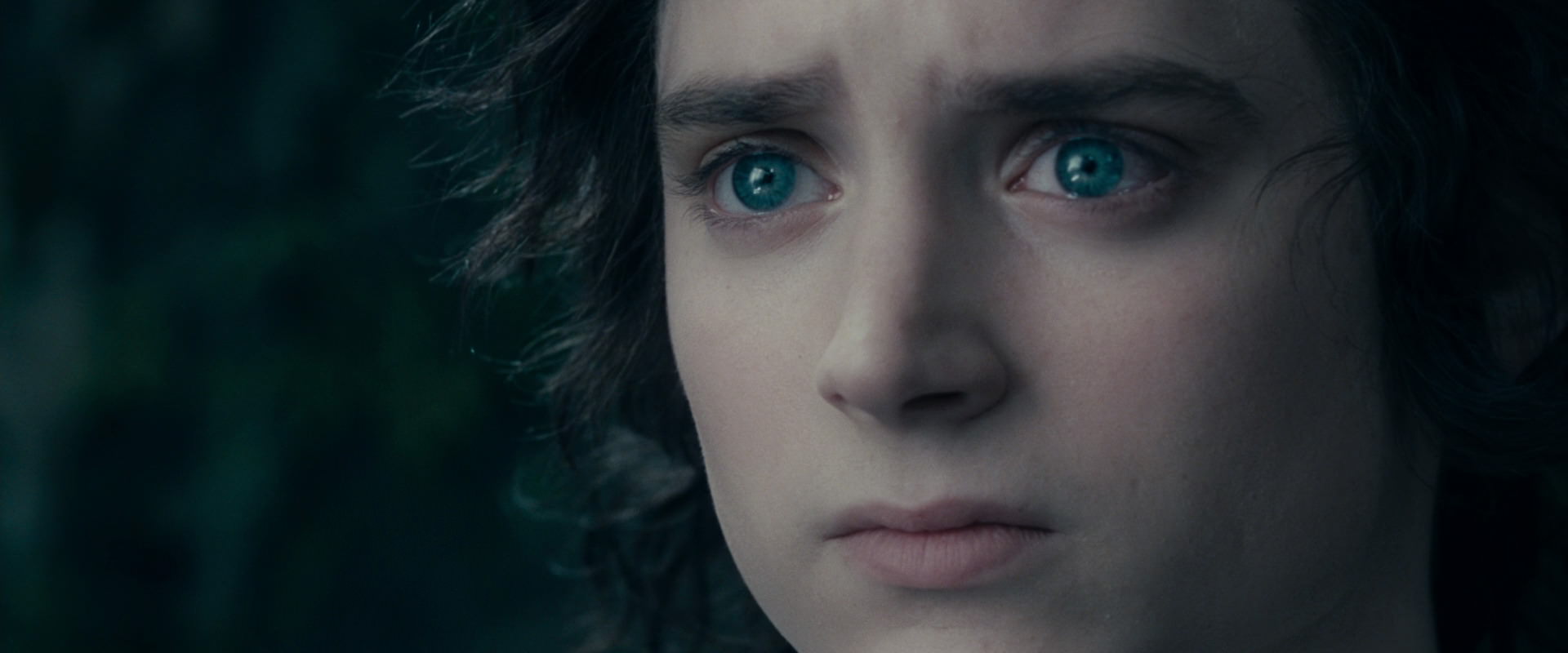 The Lord of the Rings: The Fellowship of the Ring (2001) movie still 19585