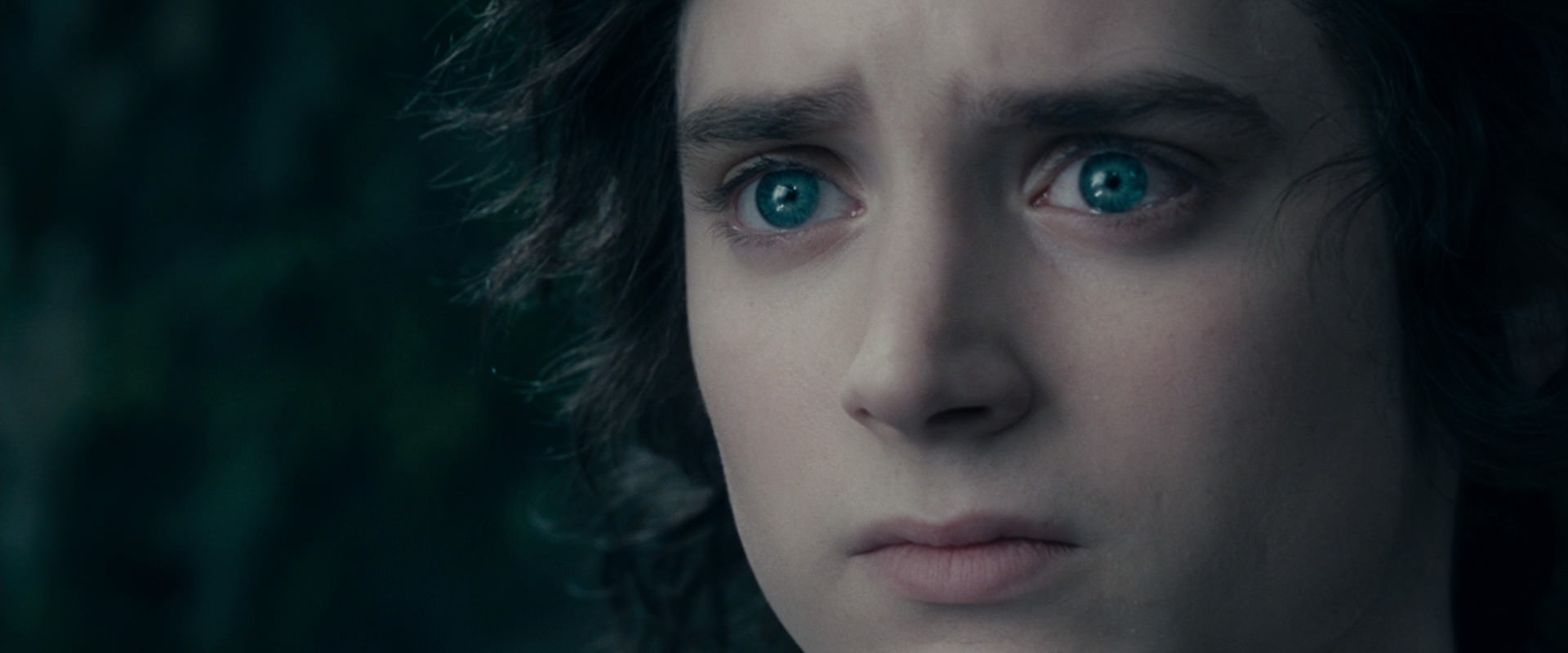 The Lord of the Rings: The Fellowship of the Ring (2001) HD screenshot 19586