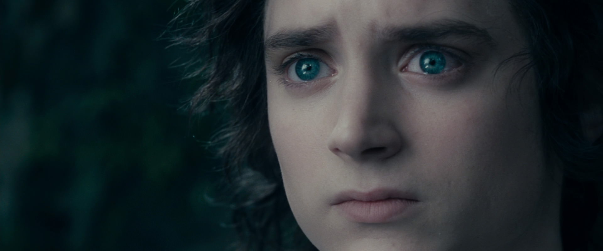 The Lord of the Rings: The Fellowship of the Ring (2001) screencap 19587