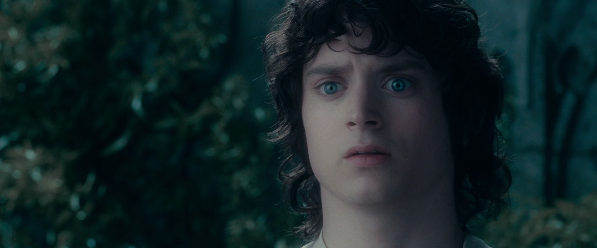 The Lord of the Rings: The Fellowship of the Ring (2001) screencap 19596
