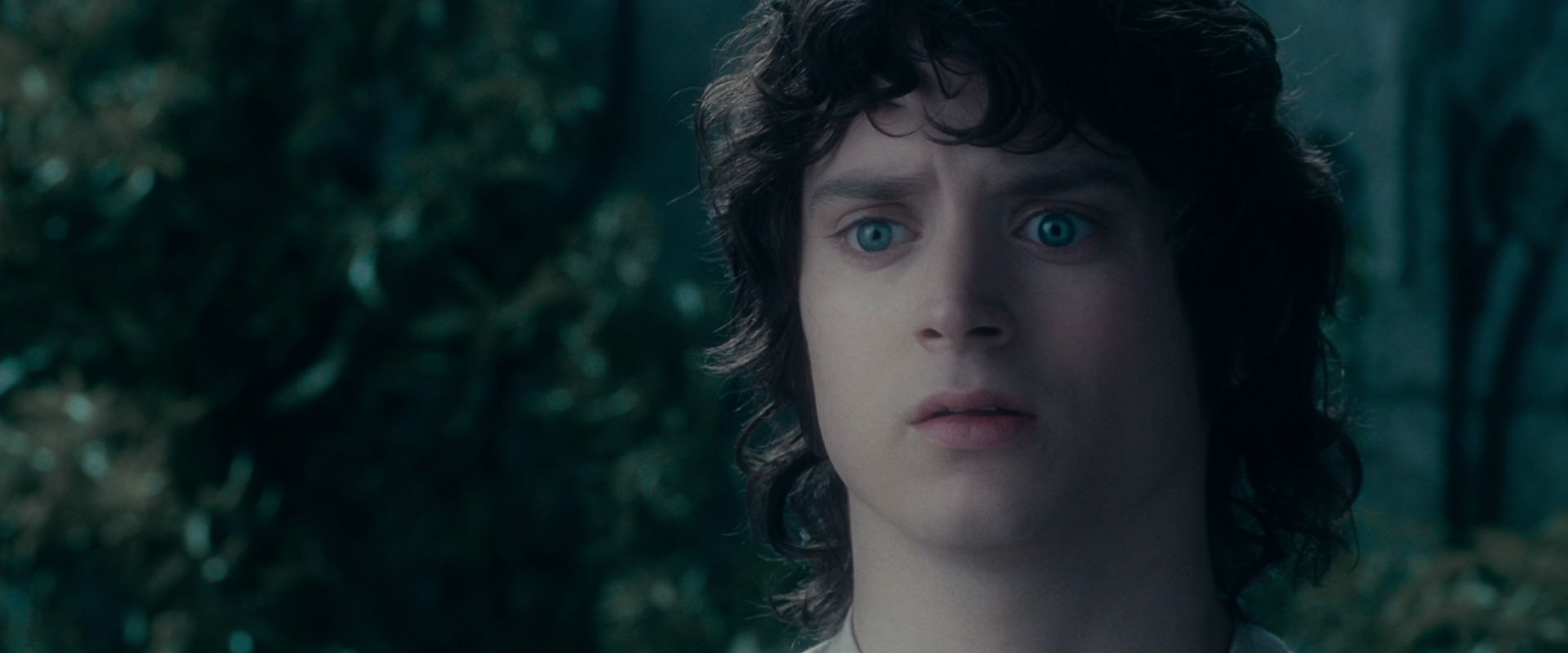 The Lord of the Rings: The Fellowship of the Ring (2001) movie still 19597