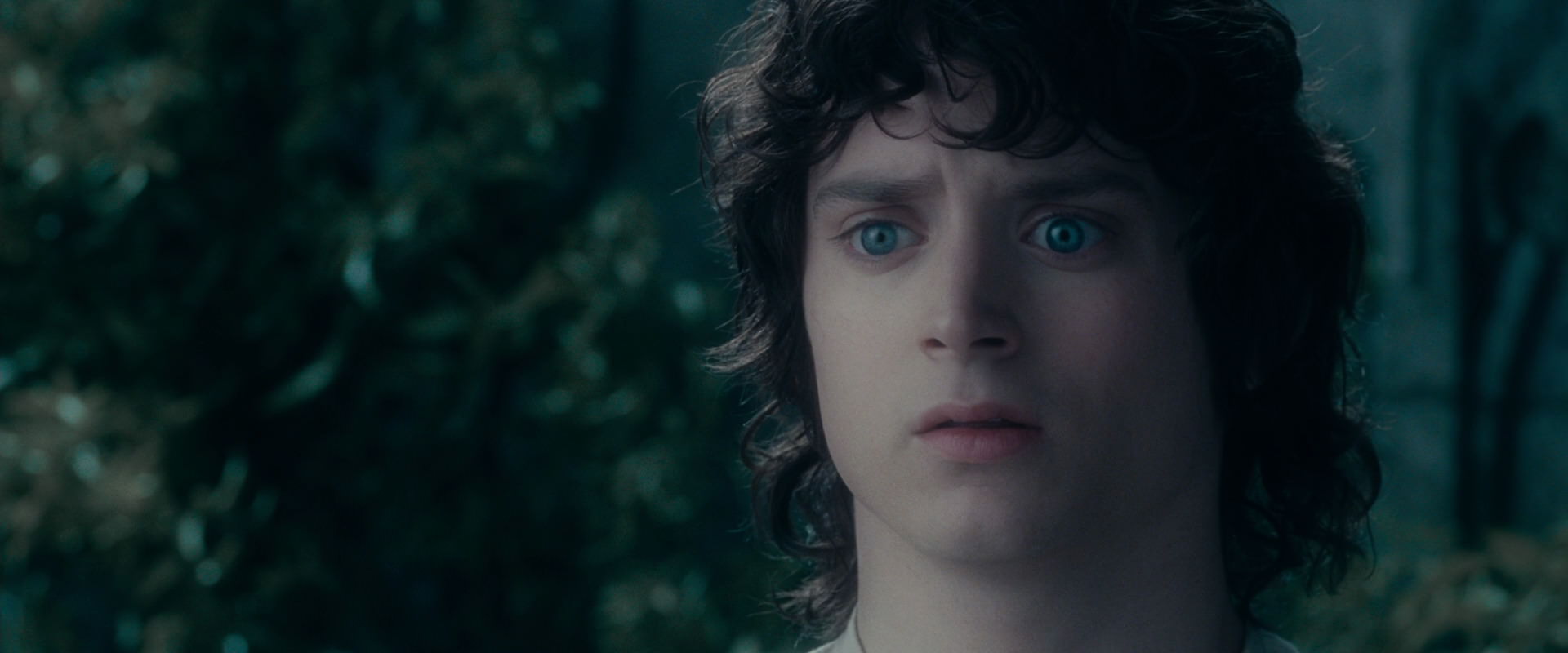 The Lord of the Rings: The Fellowship of the Ring (2001) HD screenshot 19598
