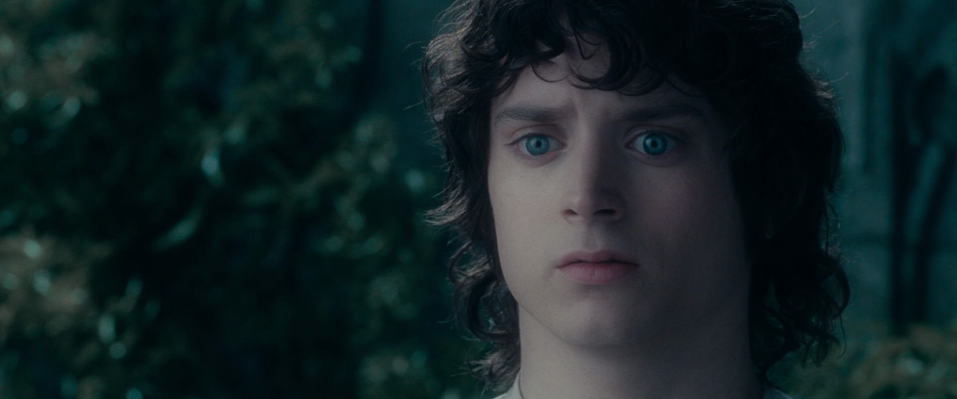 The Lord of the Rings: The Fellowship of the Ring (2001) screencap 19599