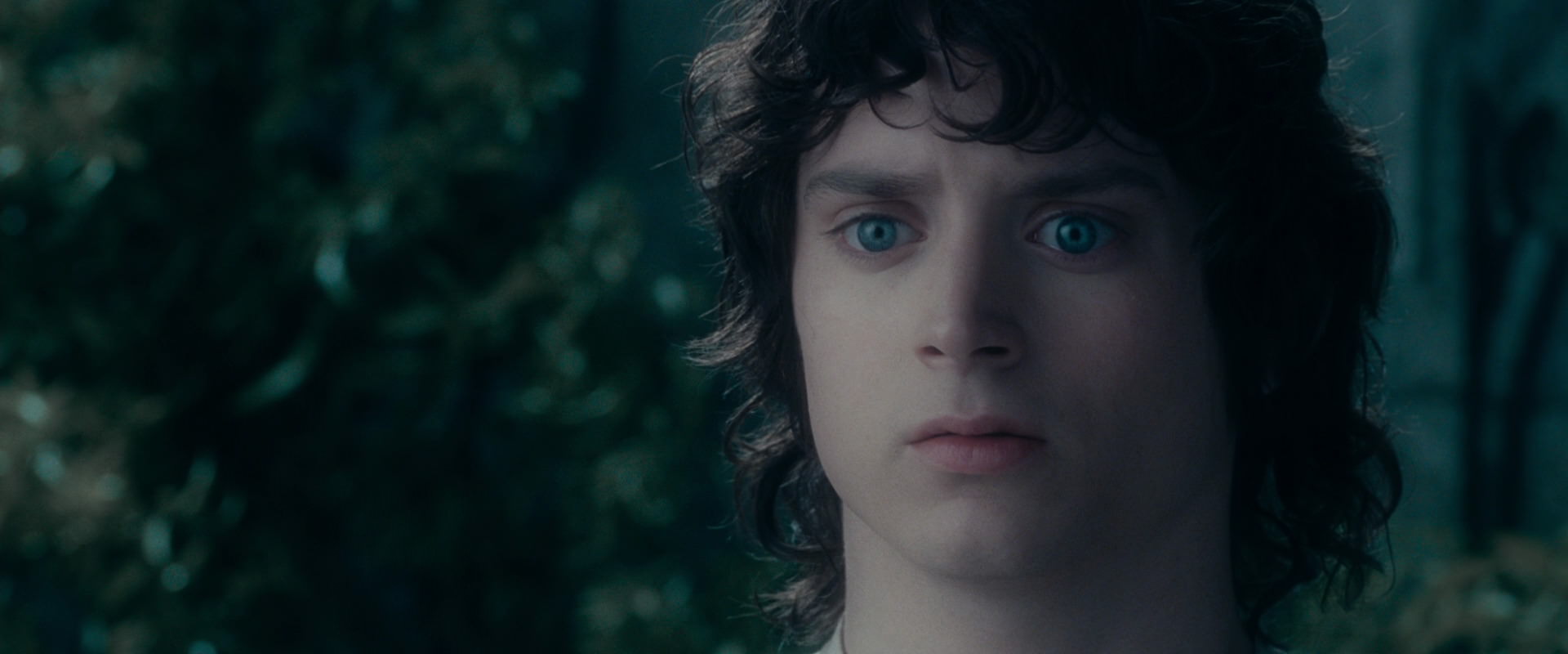 The Lord of the Rings: The Fellowship of the Ring (2001) movie still 19600