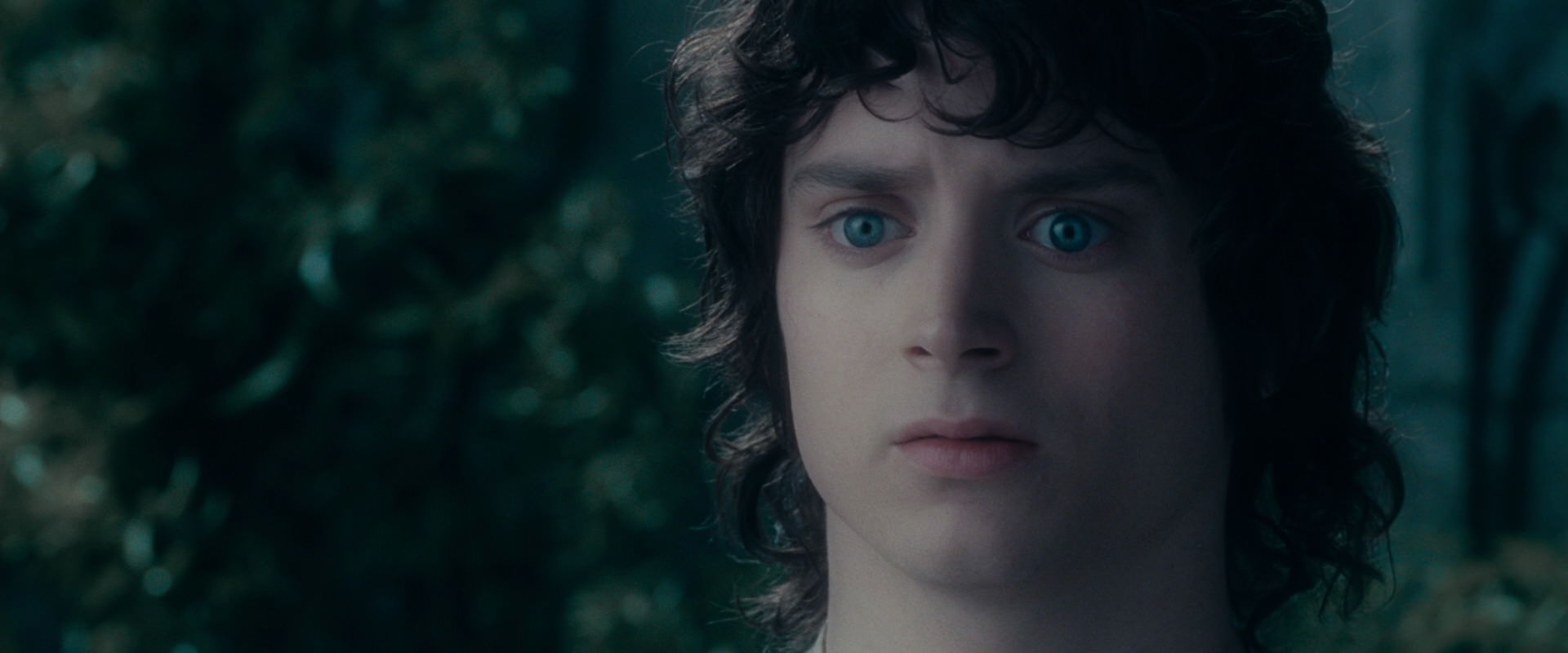 The Lord of the Rings: The Fellowship of the Ring (2001) HD screenshot 19601