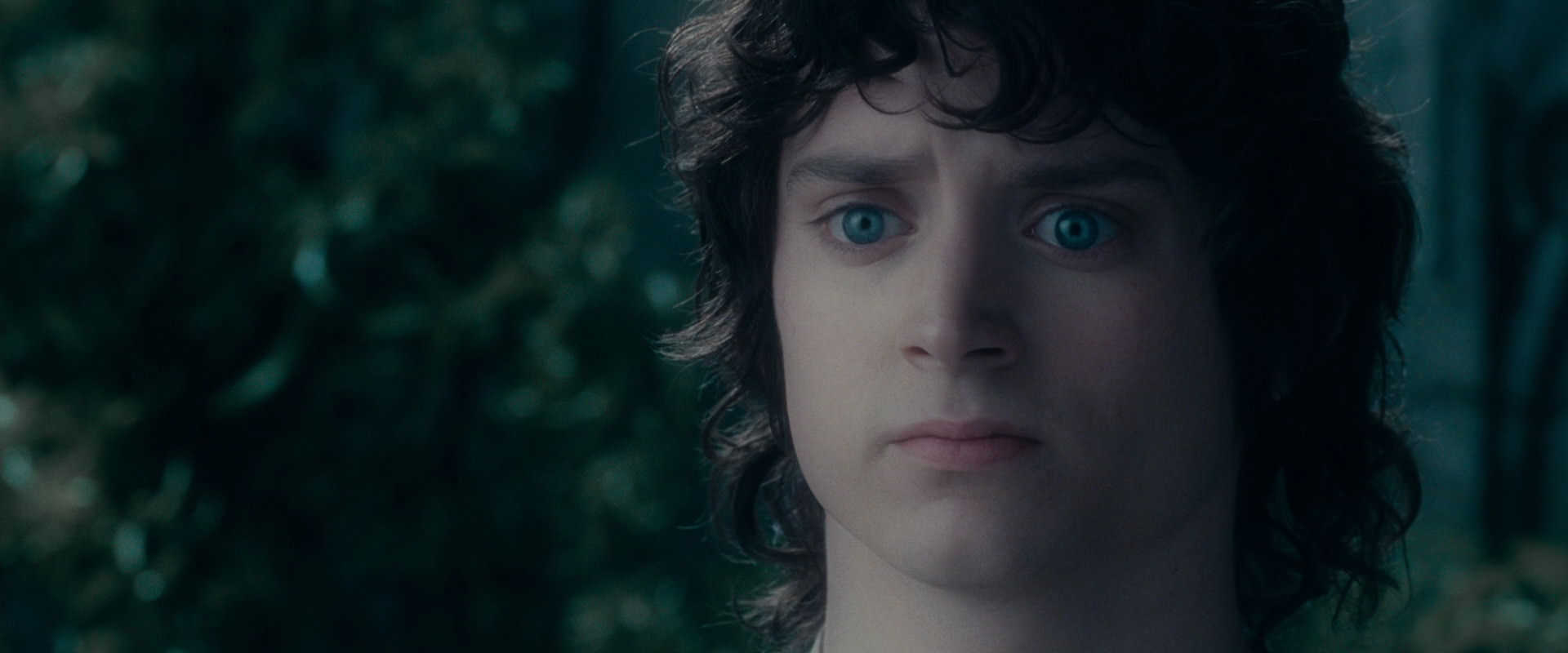 The Lord of the Rings: The Fellowship of the Ring (2001) screencap 19602