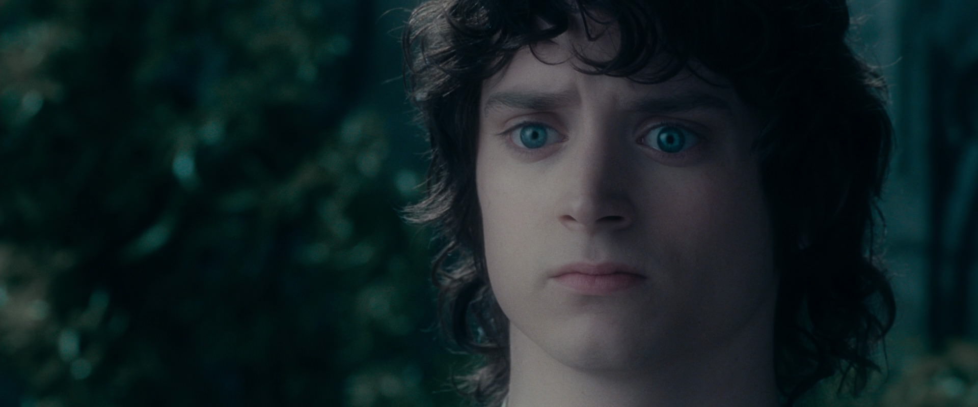 The Lord of the Rings: The Fellowship of the Ring (2001) movie still 19603
