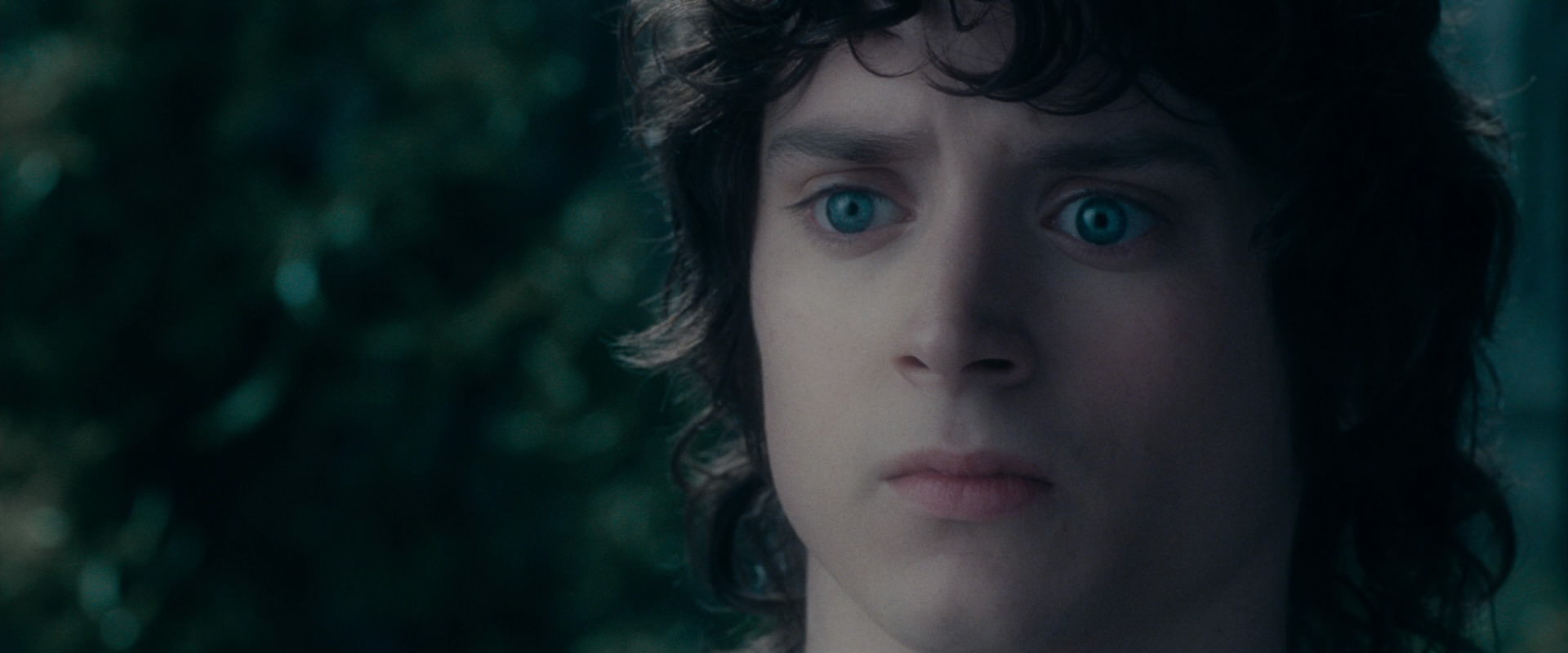 The Lord of the Rings: The Fellowship of the Ring (2001) screencap 19608