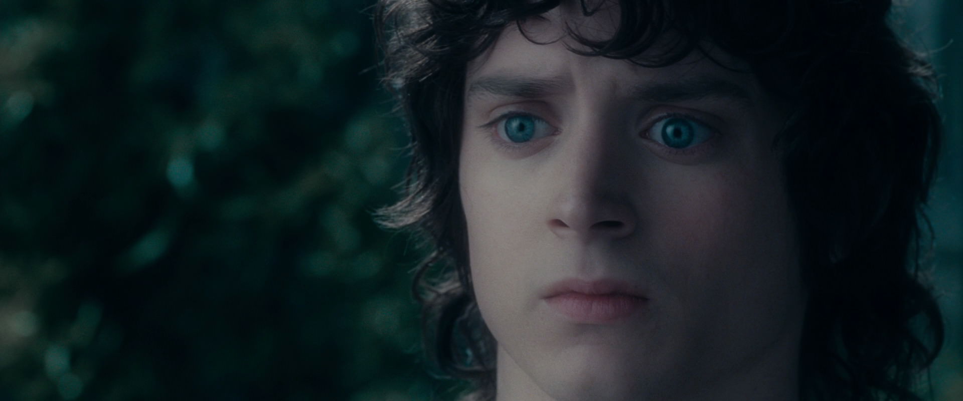 The Lord of the Rings: The Fellowship of the Ring (2001) movie still 19609