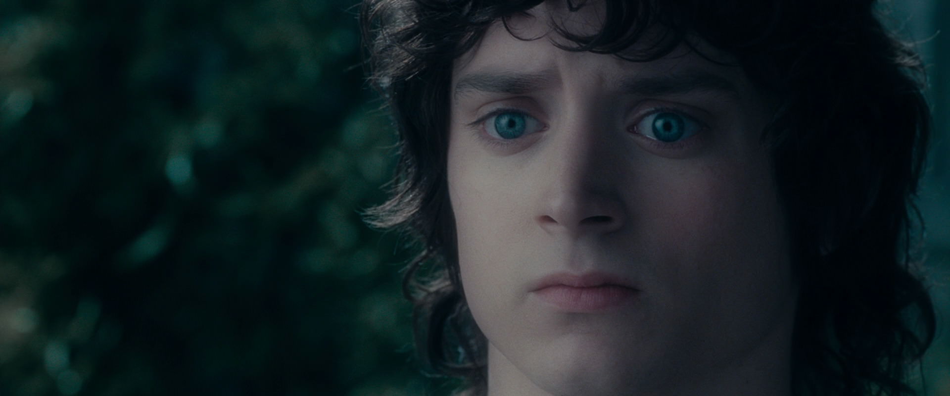 The Lord of the Rings: The Fellowship of the Ring (2001) HD screenshot 19610