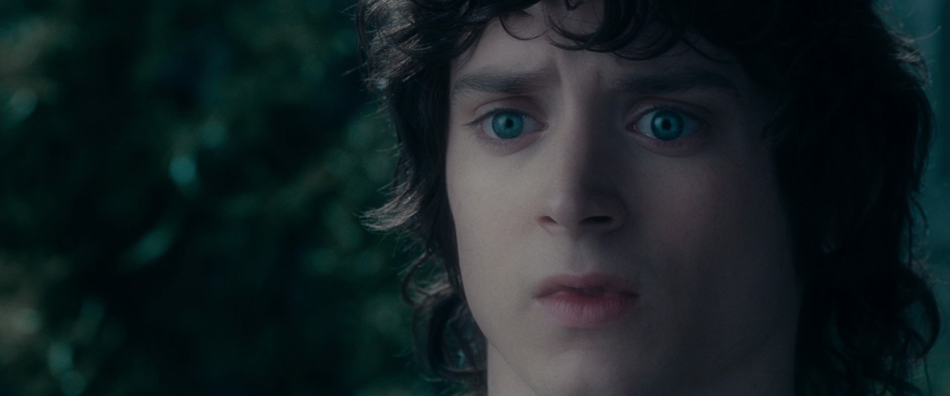 The Lord of the Rings: The Fellowship of the Ring (2001) screencap 19611