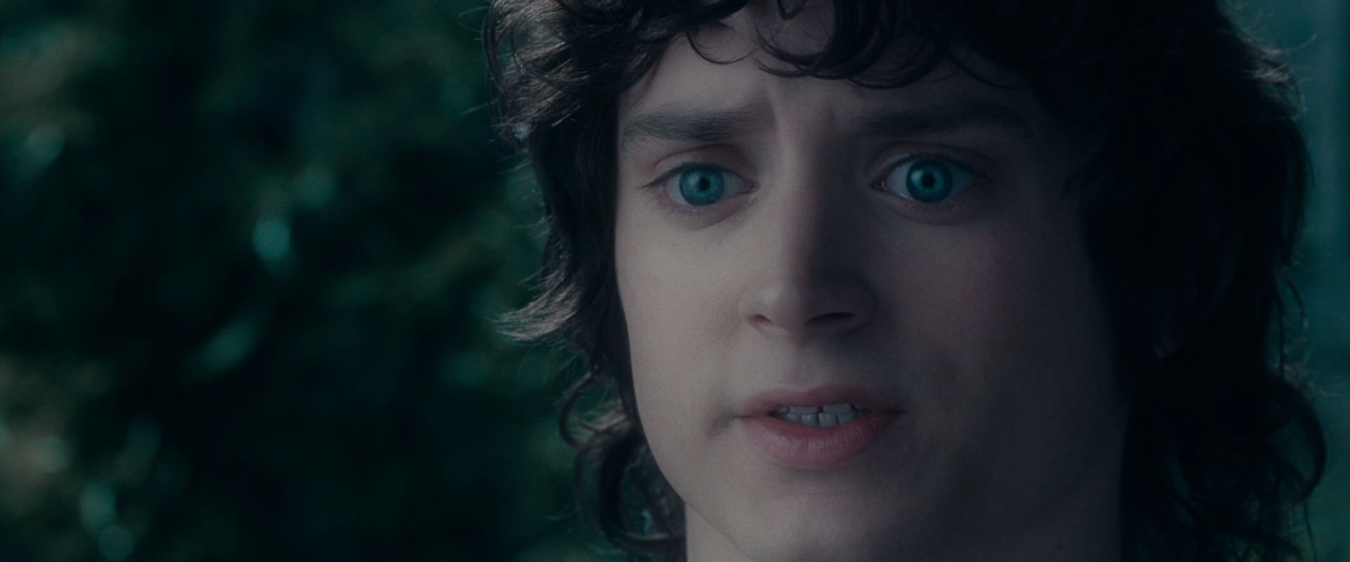 The Lord of the Rings: The Fellowship of the Ring (2001) HD screenshot 19613