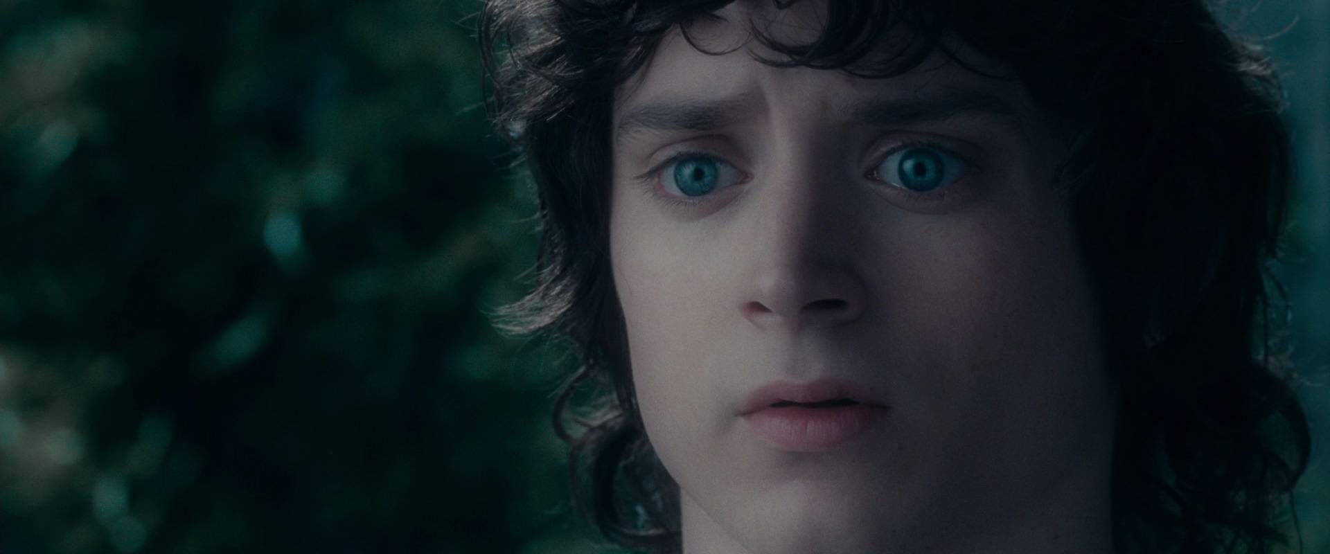 The Lord of the Rings: The Fellowship of the Ring (2001) screencap 19614