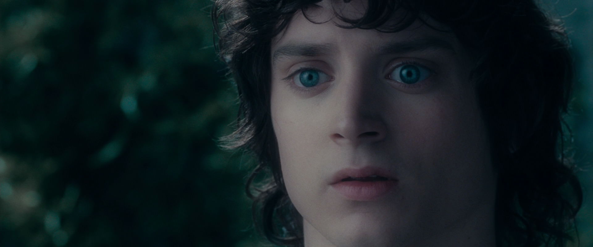 The Lord of the Rings: The Fellowship of the Ring (2001) movie still 19615