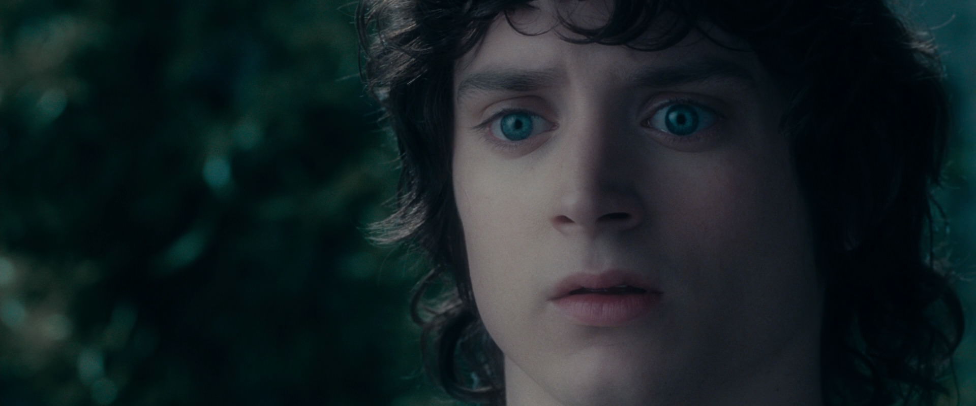 The Lord of the Rings: The Fellowship of the Ring (2001) HD screenshot 19616