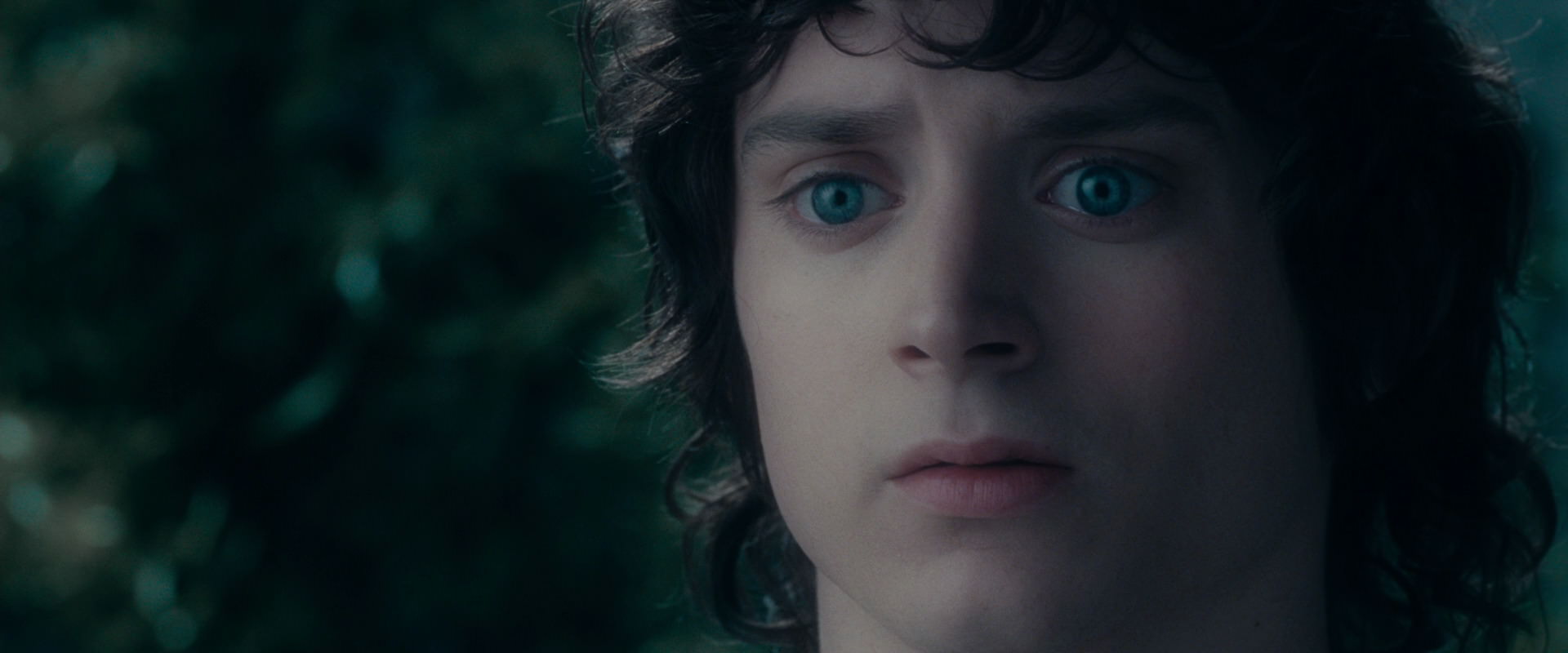 The Lord of the Rings: The Fellowship of the Ring (2001) screencap 19617