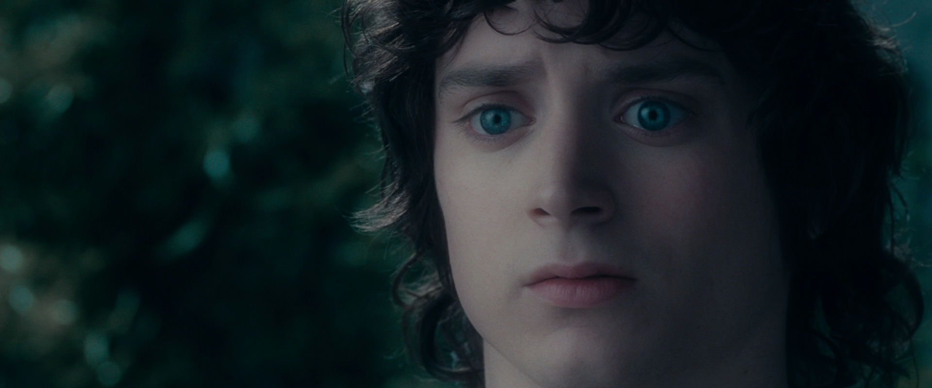 The Lord of the Rings: The Fellowship of the Ring (2001) movie still 19618