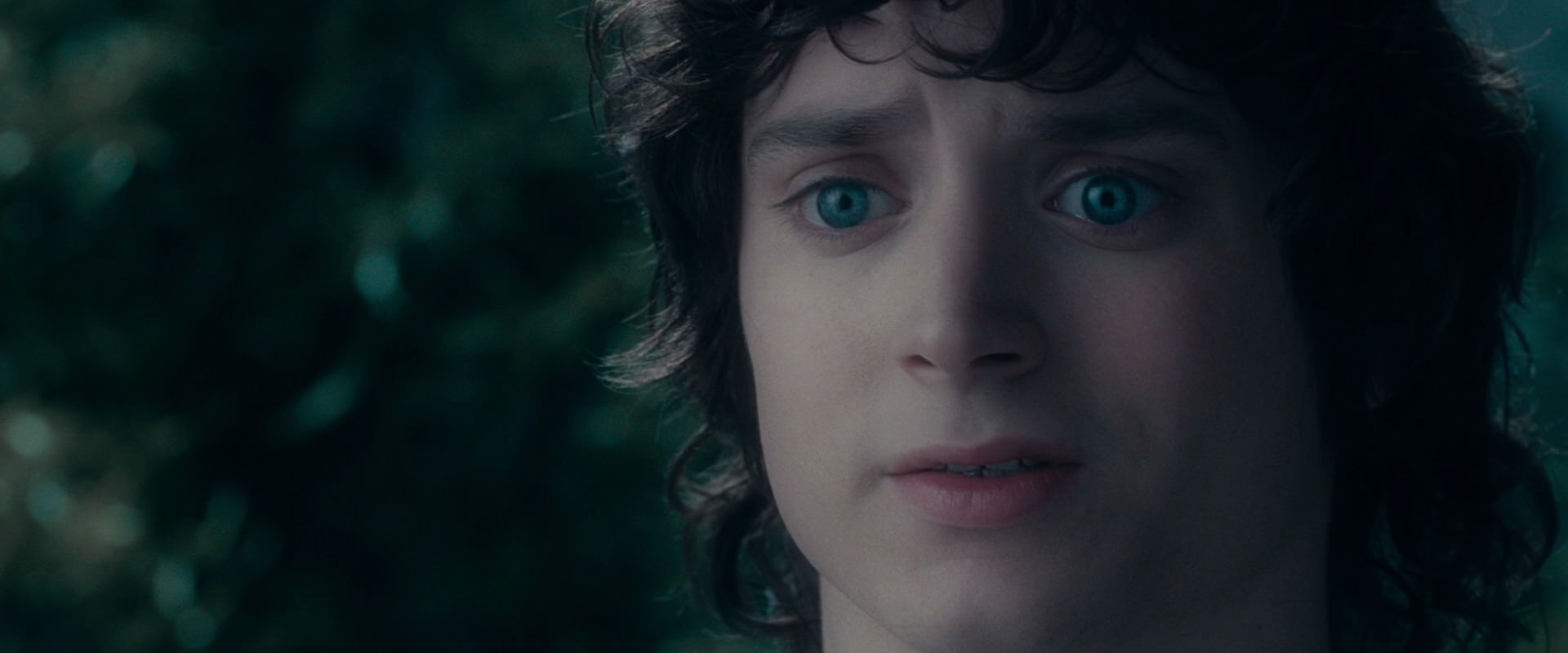 The Lord of the Rings: The Fellowship of the Ring (2001) HD screenshot 19619