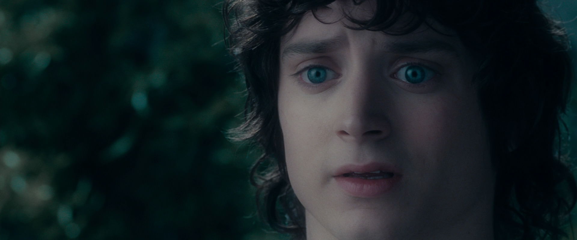The Lord of the Rings: The Fellowship of the Ring (2001) screencap 19620