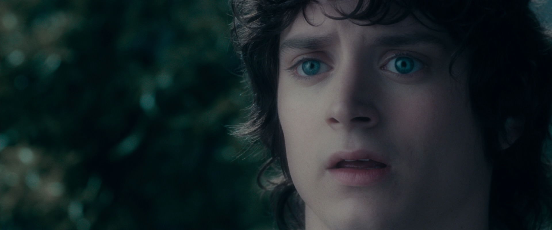 The Lord of the Rings: The Fellowship of the Ring (2001) HD screenshot 19625