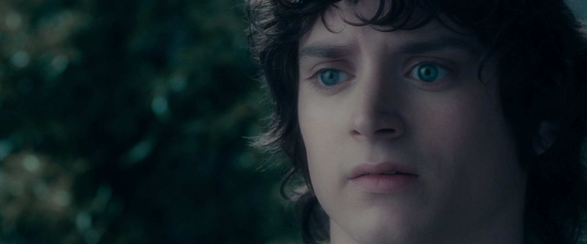 The Lord of the Rings: The Fellowship of the Ring (2001) screencap 19626