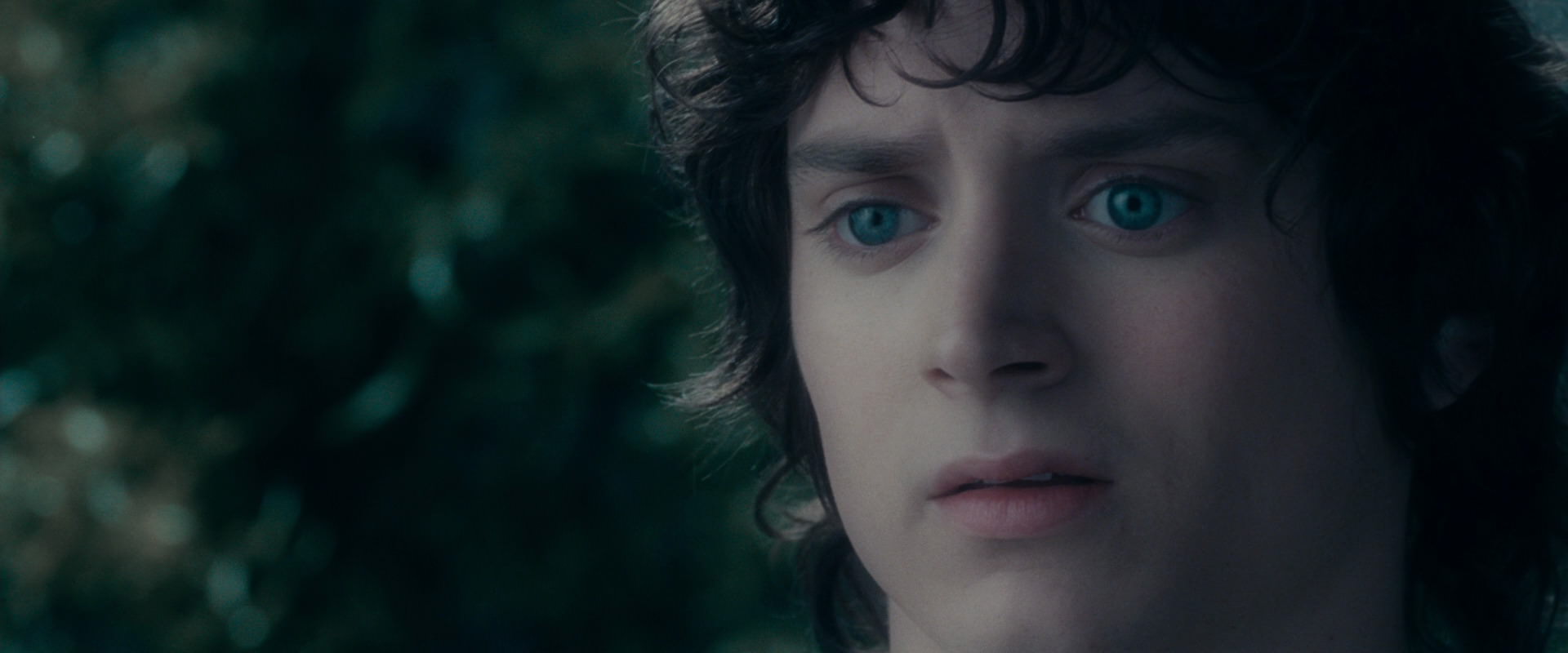 The Lord of the Rings: The Fellowship of the Ring (2001) movie still 19627