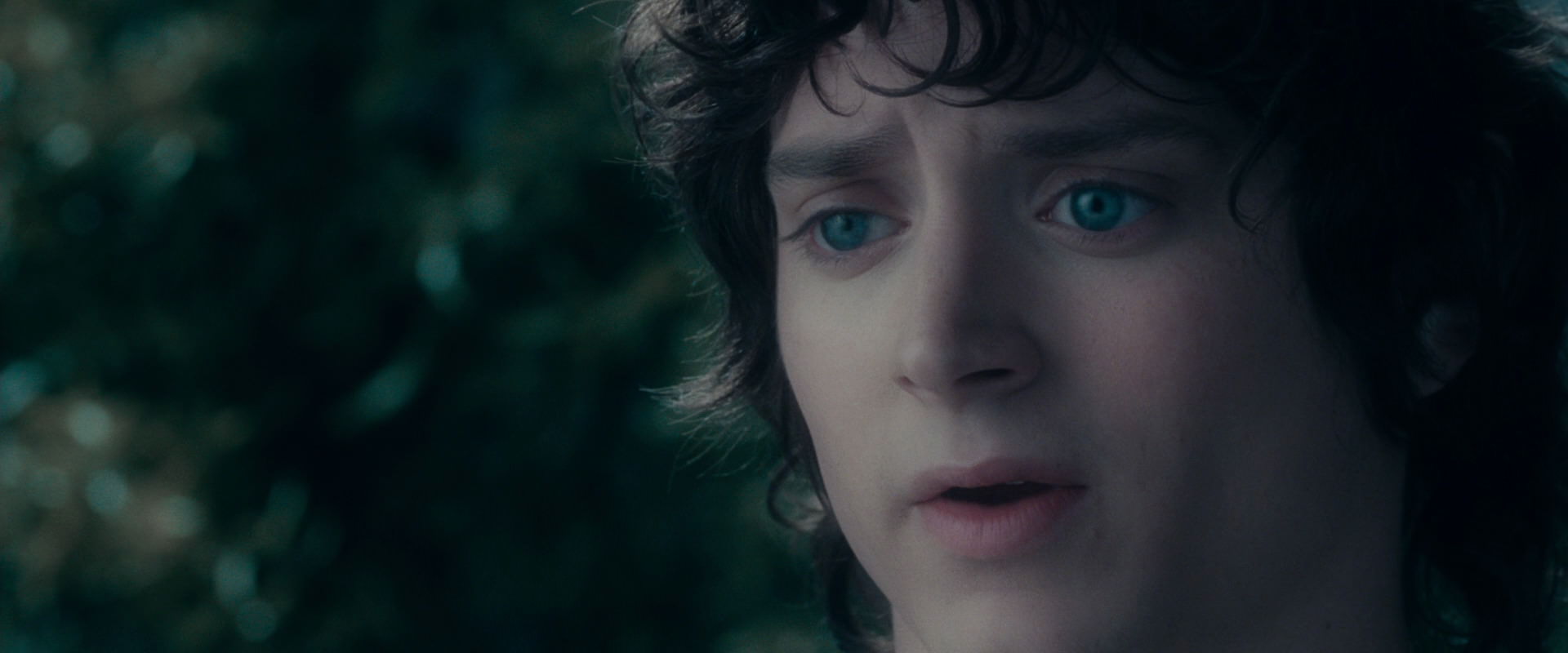 The Lord of the Rings: The Fellowship of the Ring (2001) HD screenshot 19628