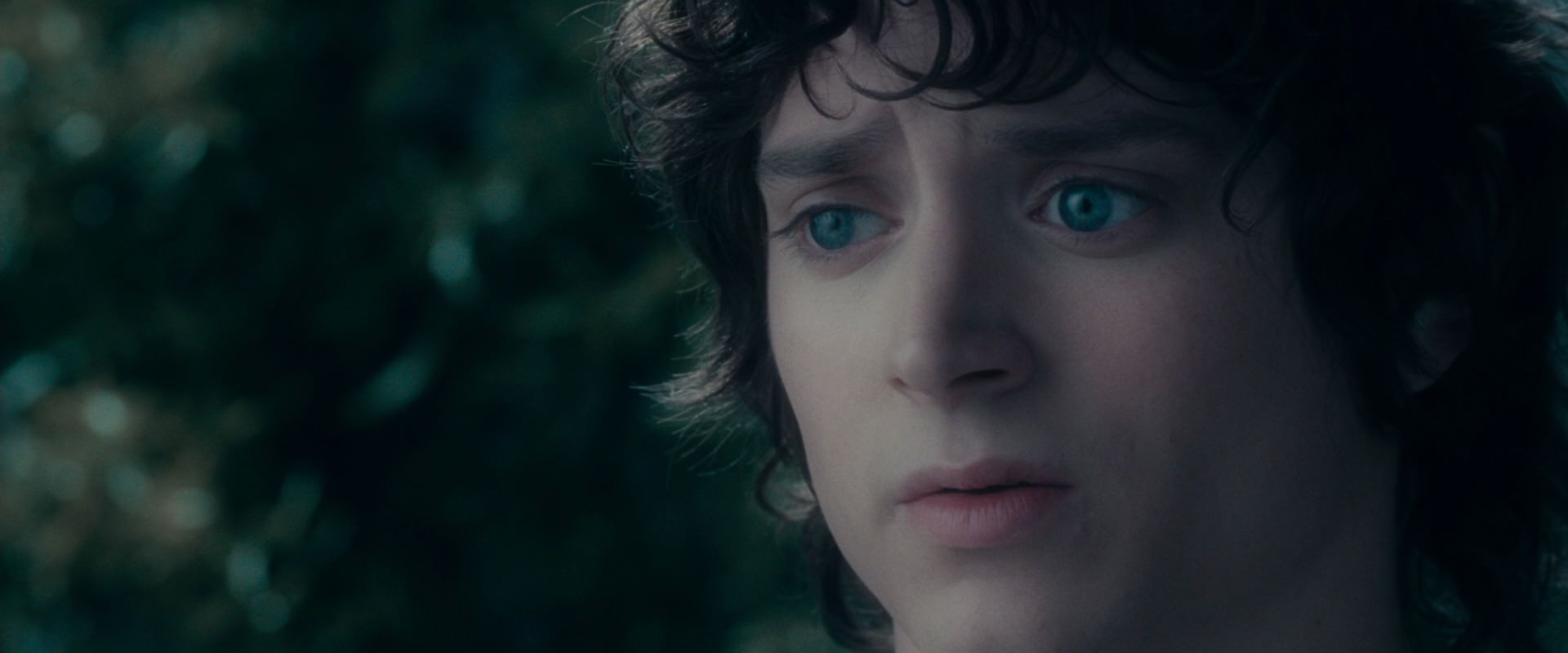 The Lord of the Rings: The Fellowship of the Ring (2001) screencap 19629