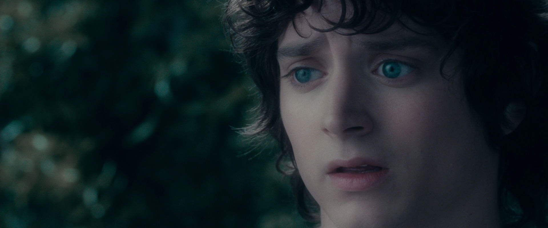 The Lord of the Rings: The Fellowship of the Ring (2001) movie still 19630