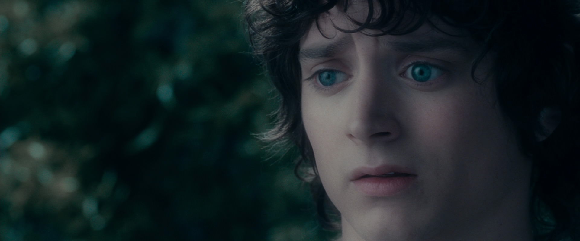 The Lord of the Rings: The Fellowship of the Ring (2001) HD screenshot 19631