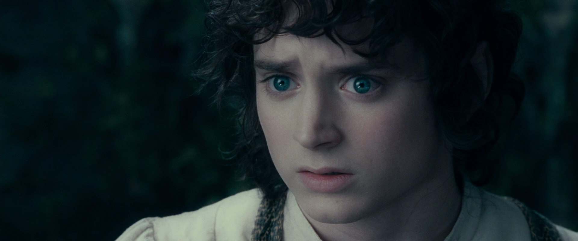 The Lord of the Rings: The Fellowship of the Ring (2001) screencap 19647