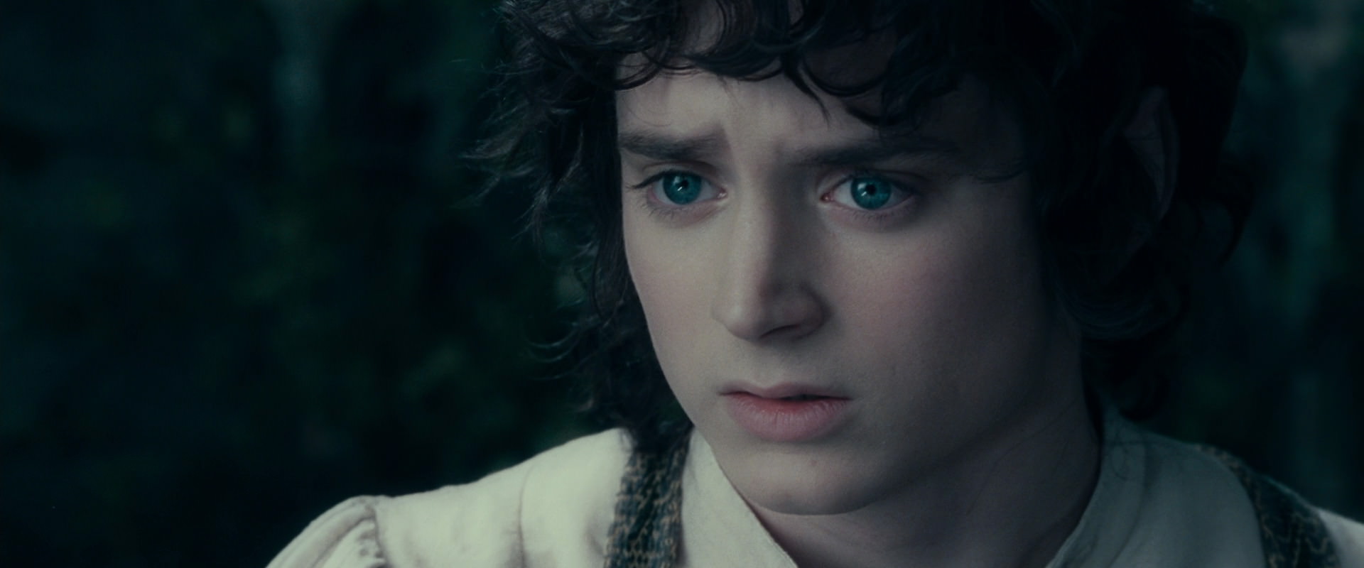 The Lord of the Rings: The Fellowship of the Ring (2001) movie still 19648