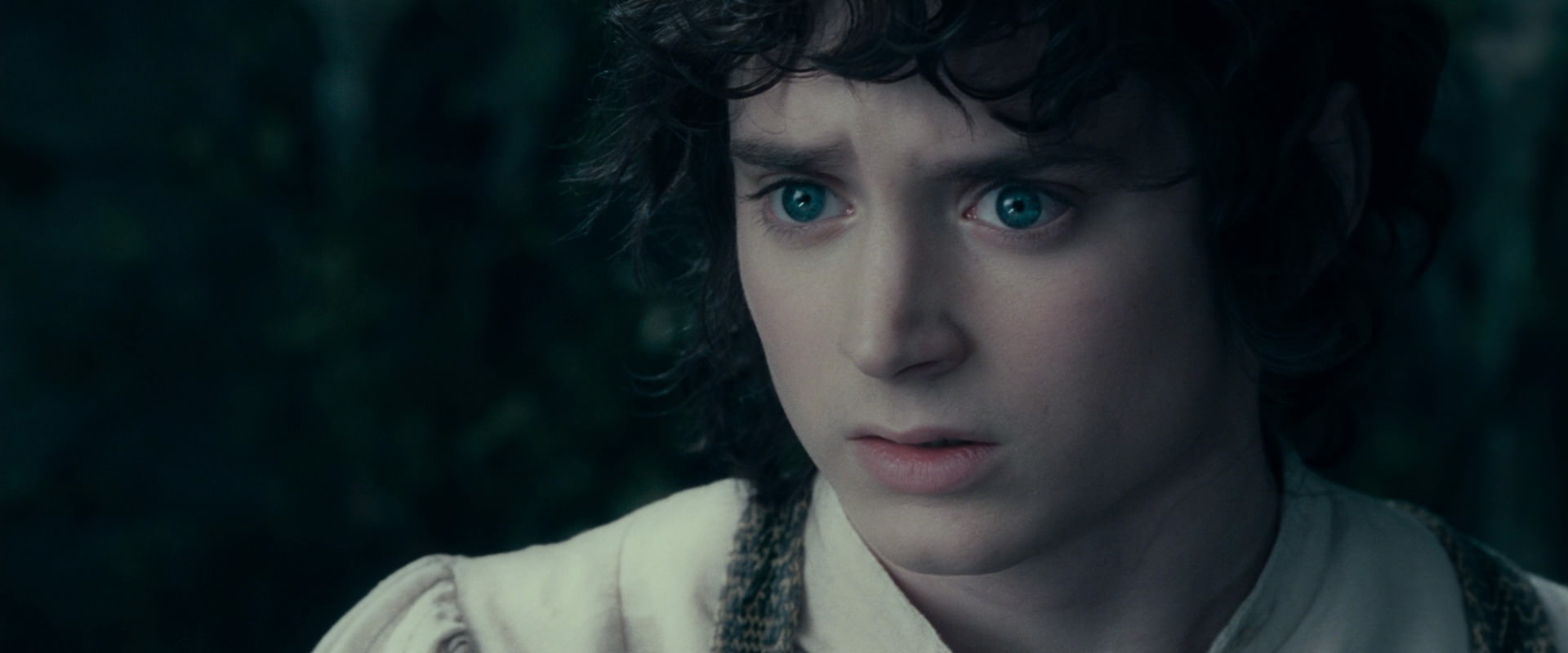 The Lord of the Rings: The Fellowship of the Ring (2001) HD screenshot 19649