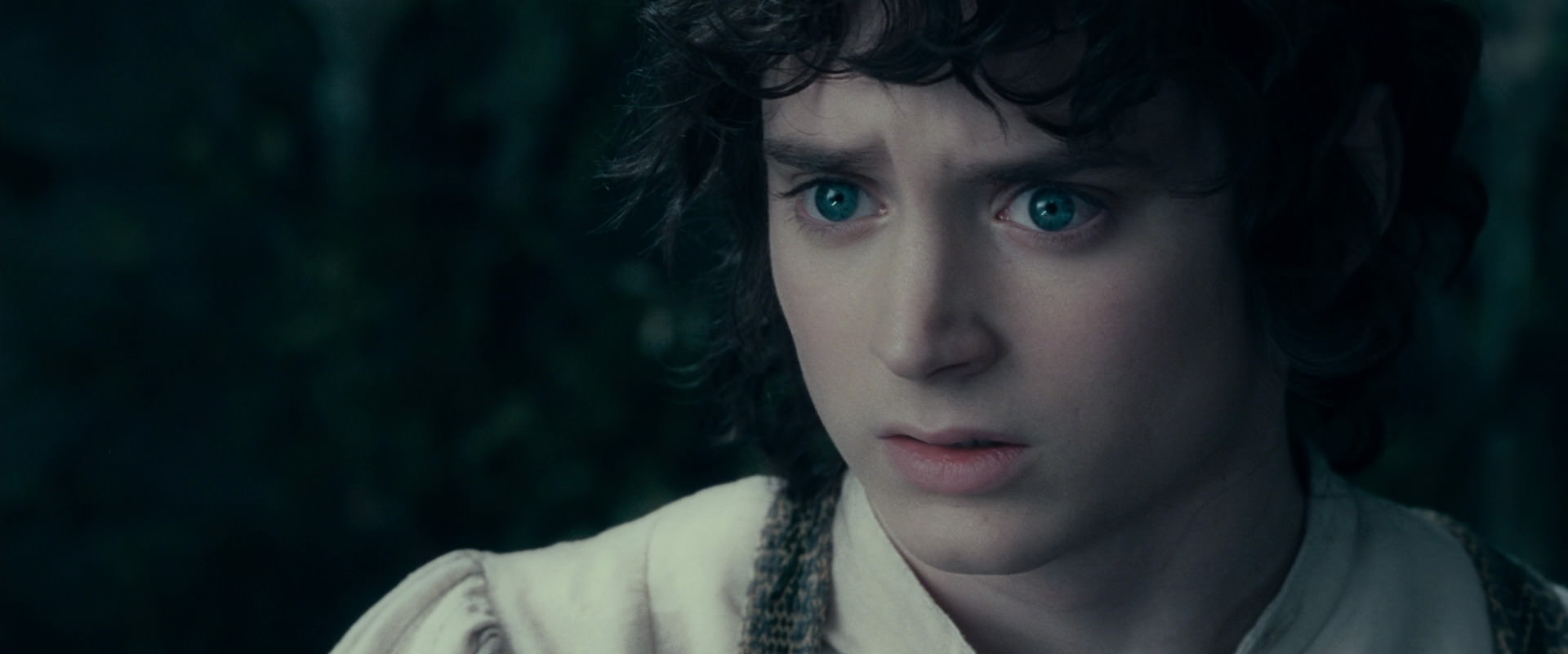 The Lord of the Rings: The Fellowship of the Ring (2001) screencap 19650
