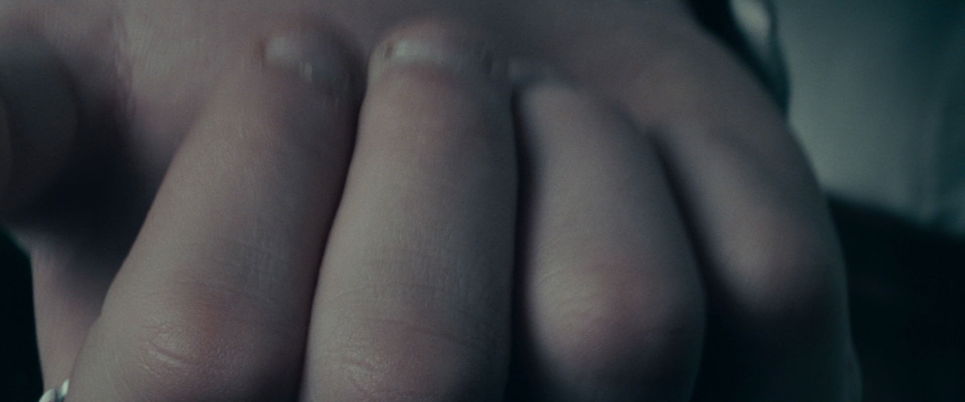 The Lord of the Rings: The Fellowship of the Ring (2001) screencap 19653