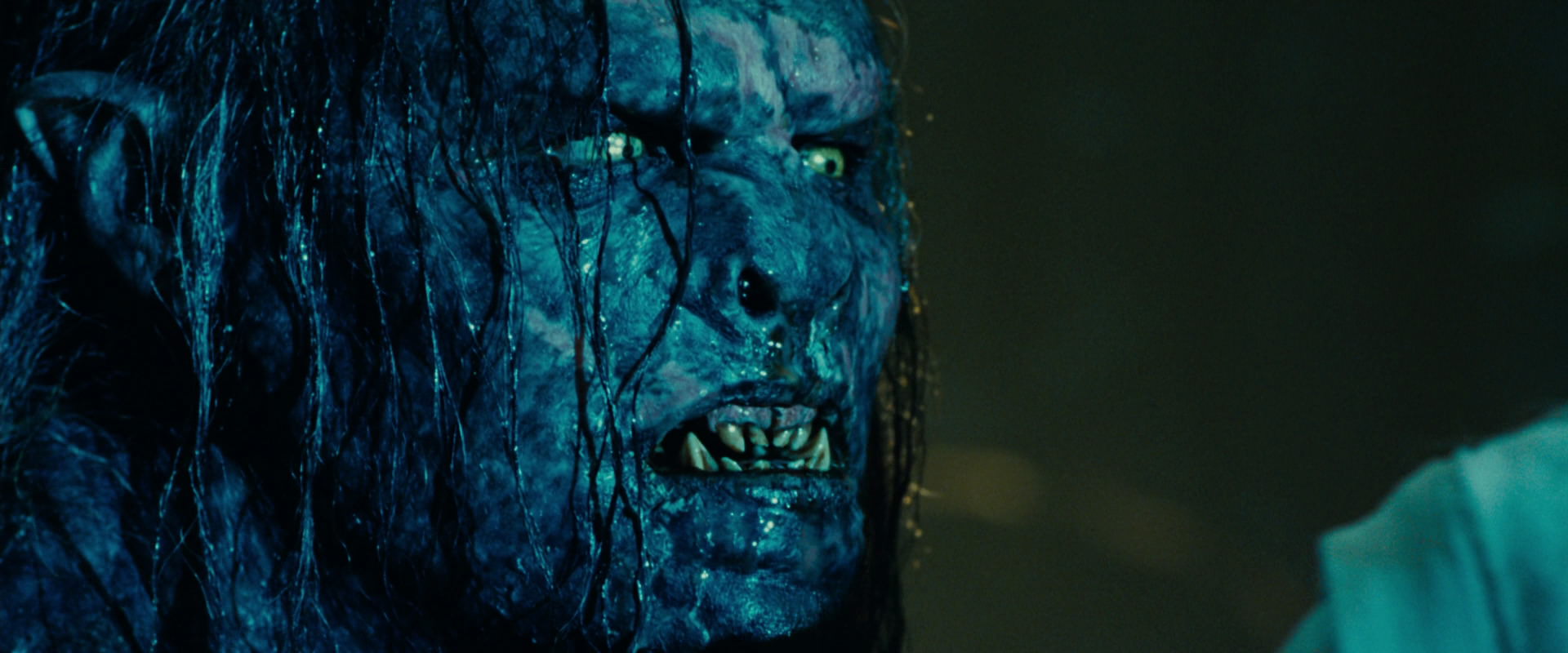 The Lord of the Rings: The Fellowship of the Ring (2001) screencap 19698