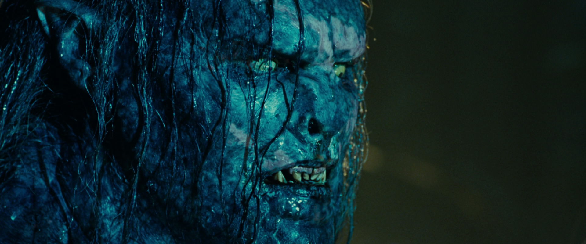 The Lord of the Rings: The Fellowship of the Ring (2001) screencap 19704