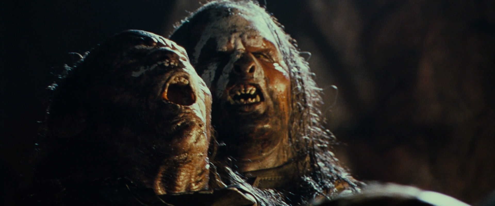 The Lord of the Rings: The Fellowship of the Ring (2001) screencap 19755