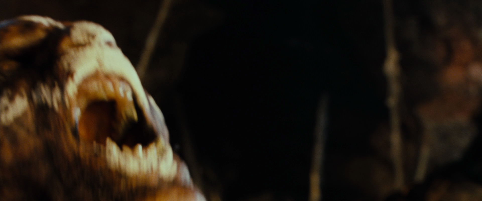 The Lord of the Rings: The Fellowship of the Ring (2001) HD screenshot 19757