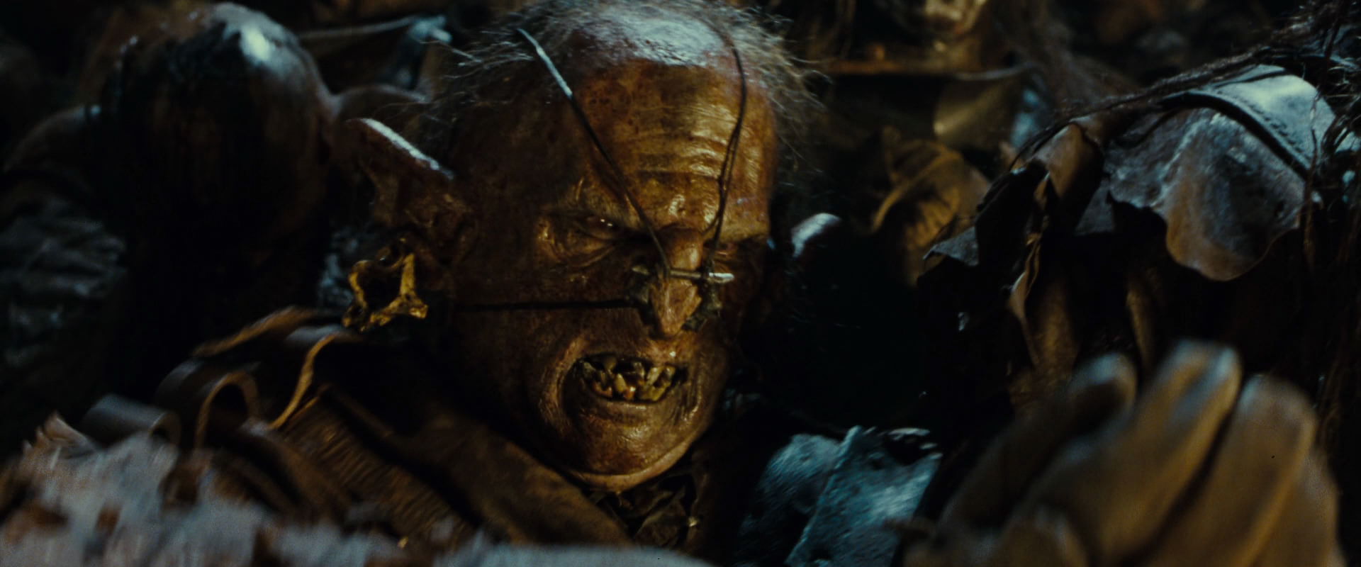 The Lord of the Rings: The Fellowship of the Ring (2001) screencap 19764