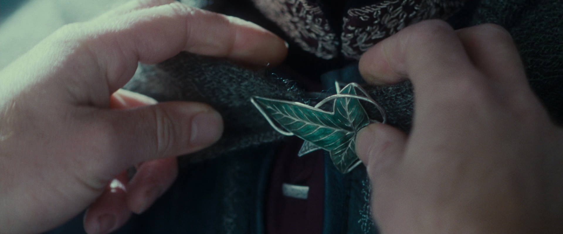 The Lord of the Rings: The Fellowship of the Ring (2001) screencap 19872