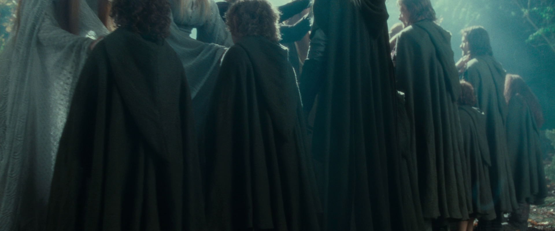 The Lord of the Rings: The Fellowship of the Ring (2001) HD screenshot 19877