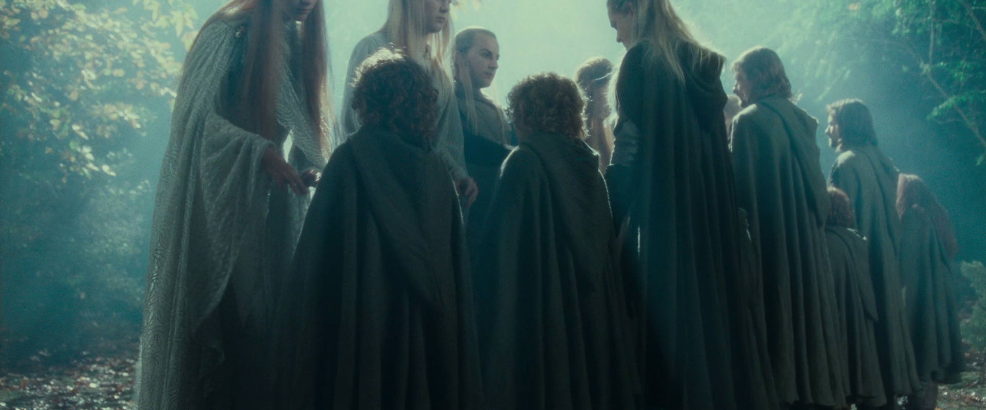 The Lord of the Rings: The Fellowship of the Ring (2001) HD screenshot 19880