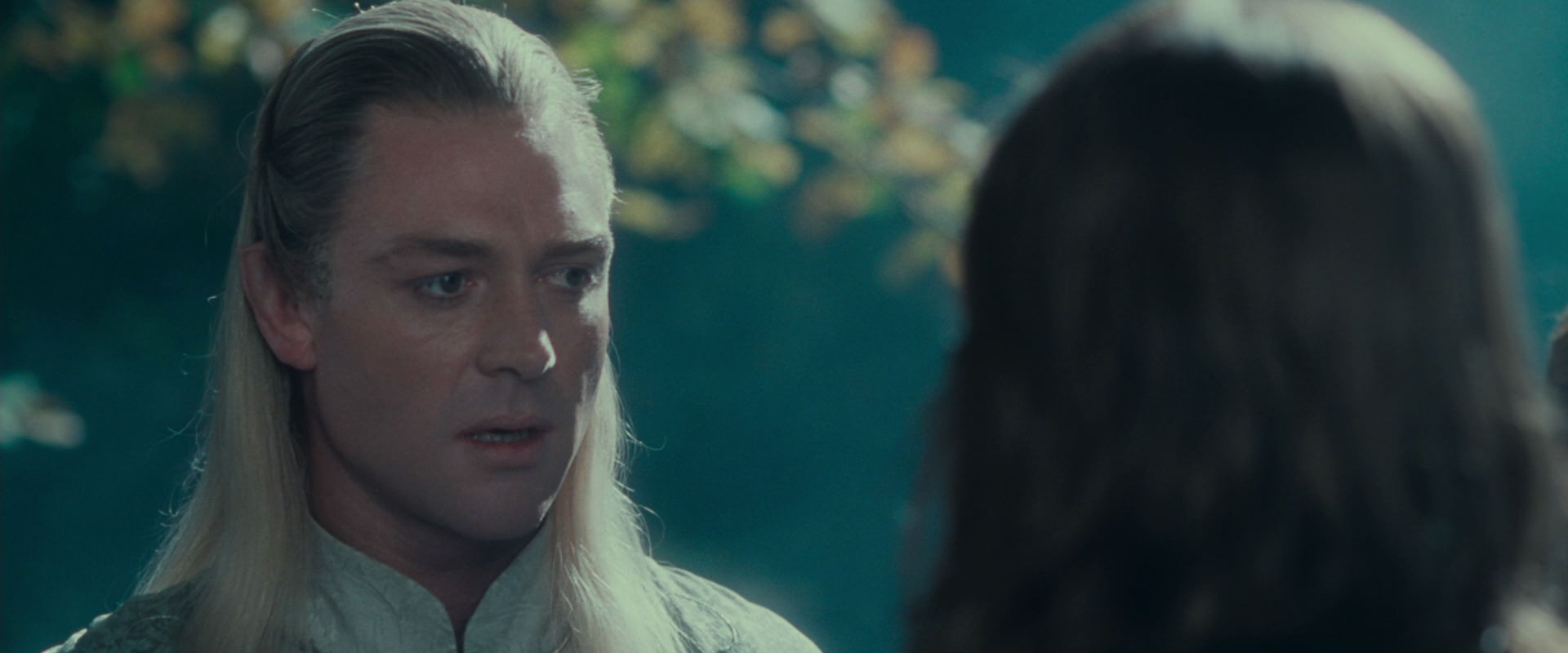 The Lord of the Rings: The Fellowship of the Ring (2001) screencap 19884